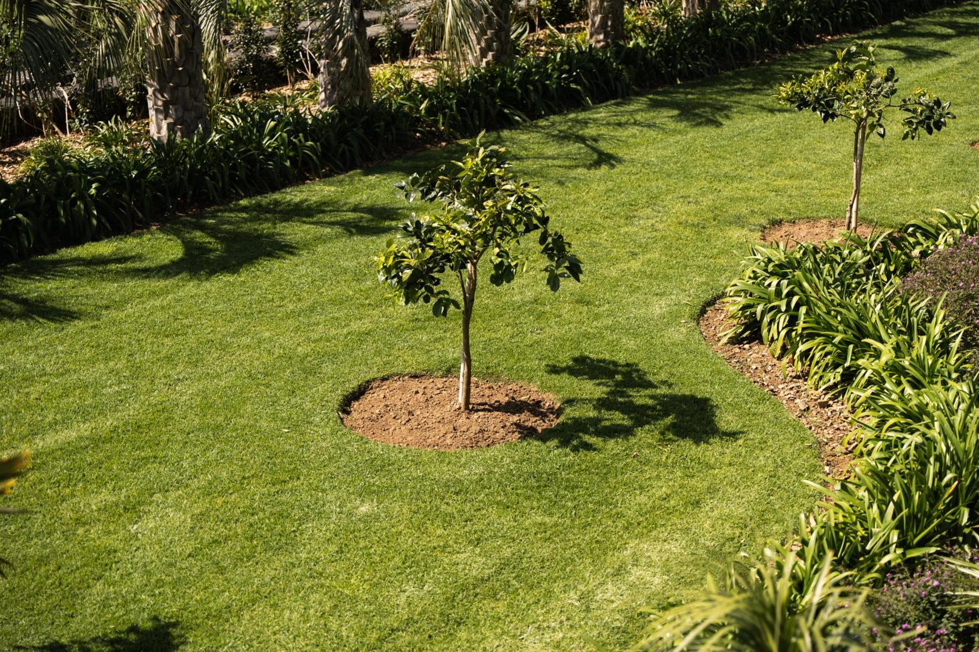 Ponta Delgada Azores Homes Resort & Spa מראה חיצוני תמונה